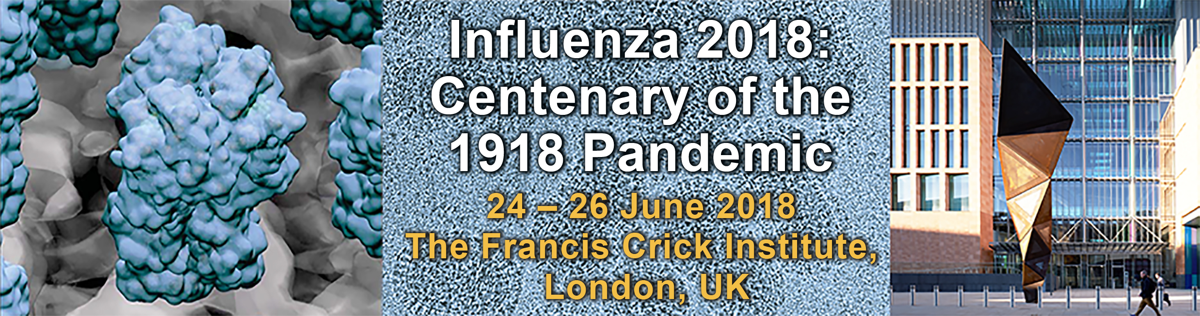 influenza pandemic banner FINAL