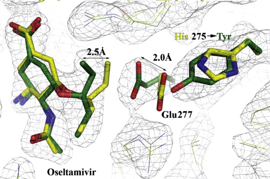 Fig2