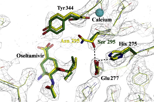 Fig3