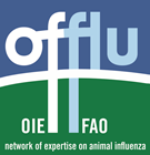 logo offlu